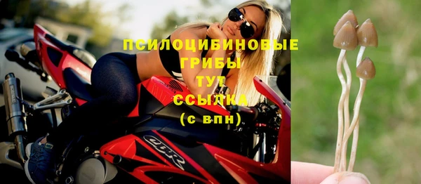 mdma Ельня