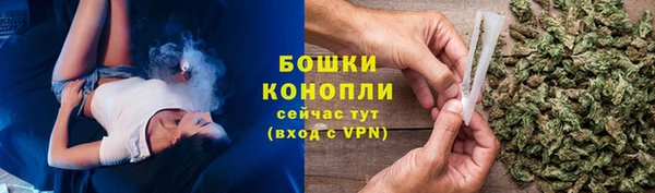 сатива Елизово