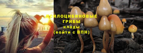 mdma Ельня
