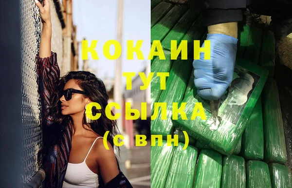 сатива Елизово