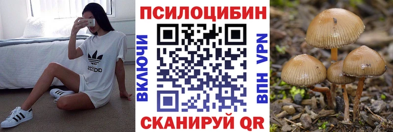 Псилоцибиновые грибы мухоморы  Катав-Ивановск 